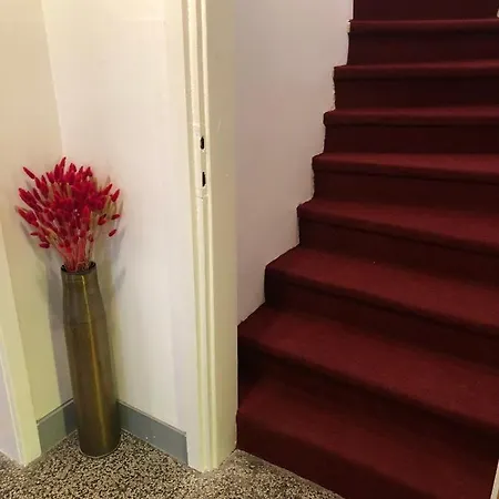 Апартаменты House Petra